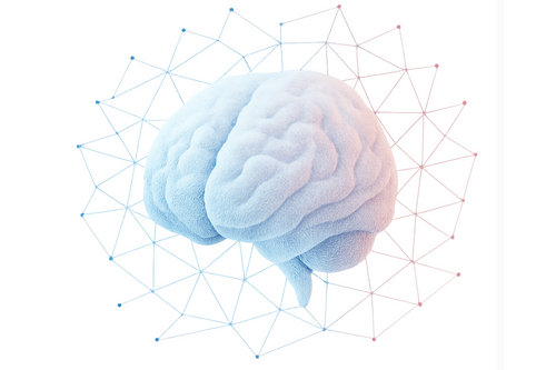 SIAE e Datapizza alla ricerca dei nuovi talenti informatici